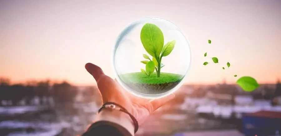 凱創(chuàng)感染類疾病診斷的三大利器:CRP、SAA和PCT