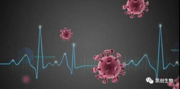 喜訊：凱創(chuàng)生物多款新冠抗原試劑均已獲CE準(zhǔn)入和出口白名單！