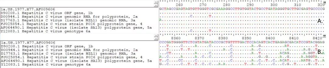 A.5’端非編碼區(qū)序列；B.NS5序列
